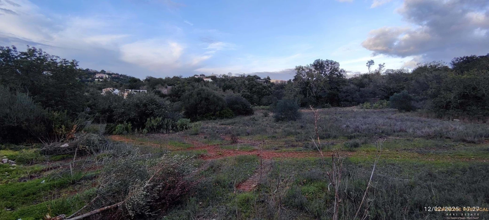 Terreno para Venda em Loule (São Sebastião) Foto 13