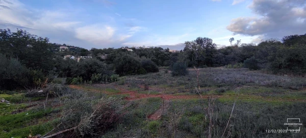 Terreno para Venda em Loule (São Sebastião)