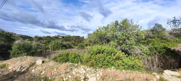 Terreno para Venda em Loule (São Sebastião)