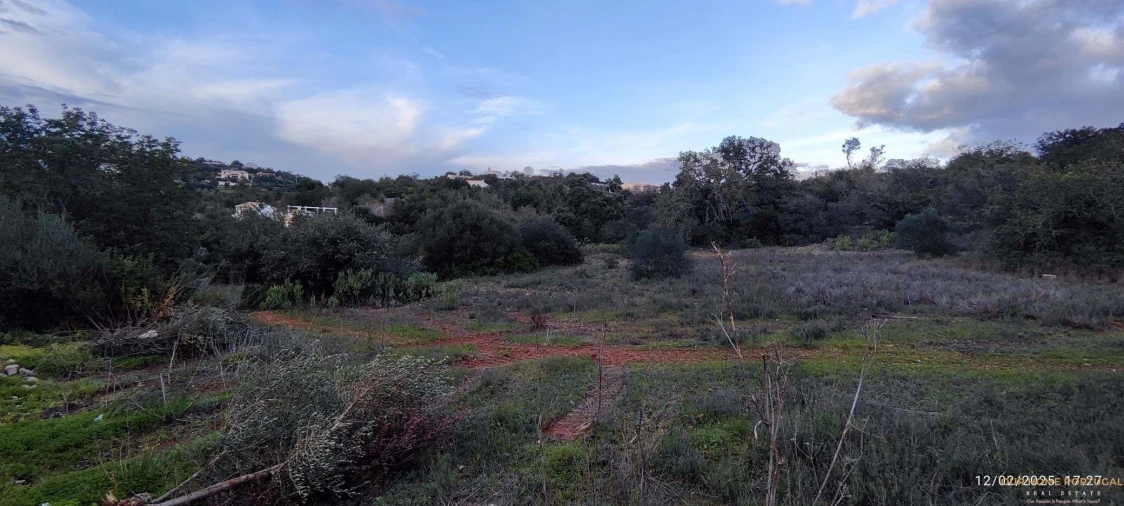 Terreno para Venda em Loule (São Sebastião) Foto 13