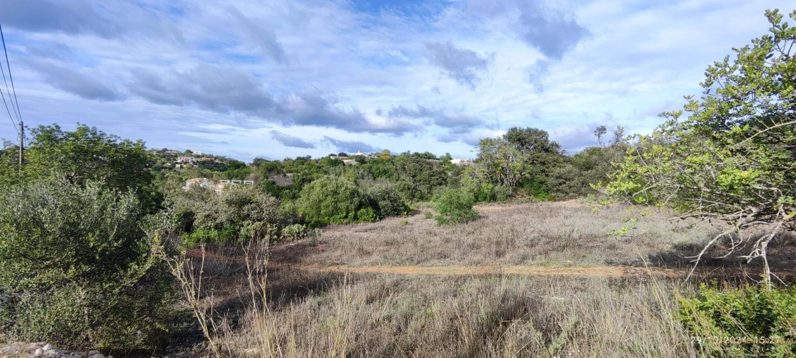Terreno para Venda em Loule (São Sebastião) Foto 2