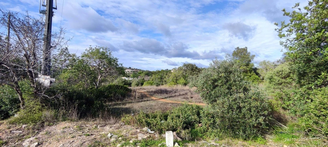 Terreno para Venda em Loule (São Sebastião) Foto 4