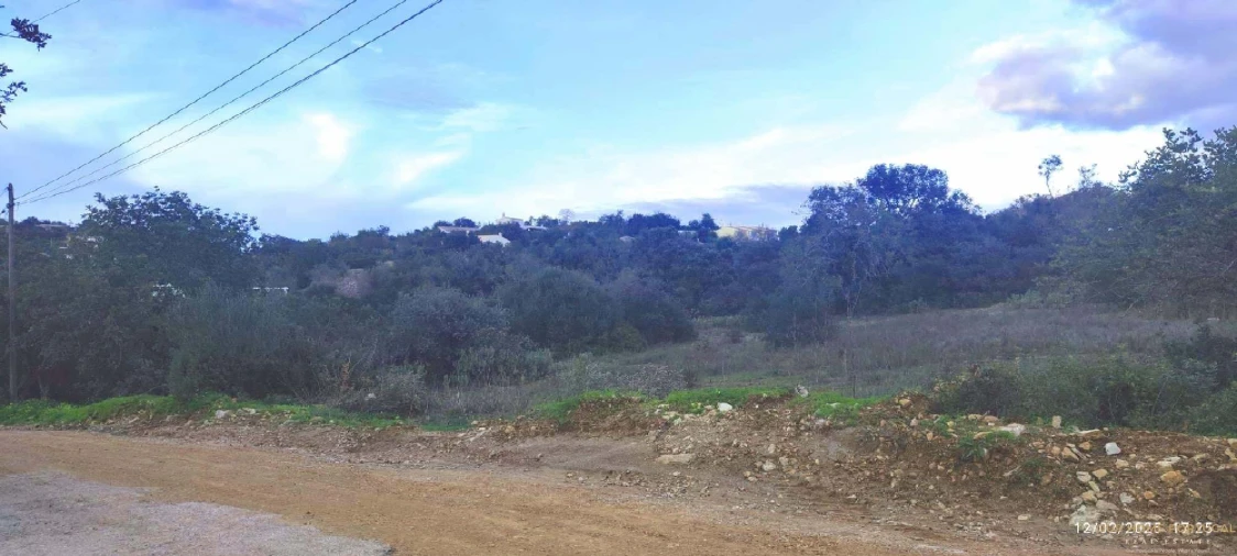 Terreno para Venda em Loule (São Sebastião) Foto 10