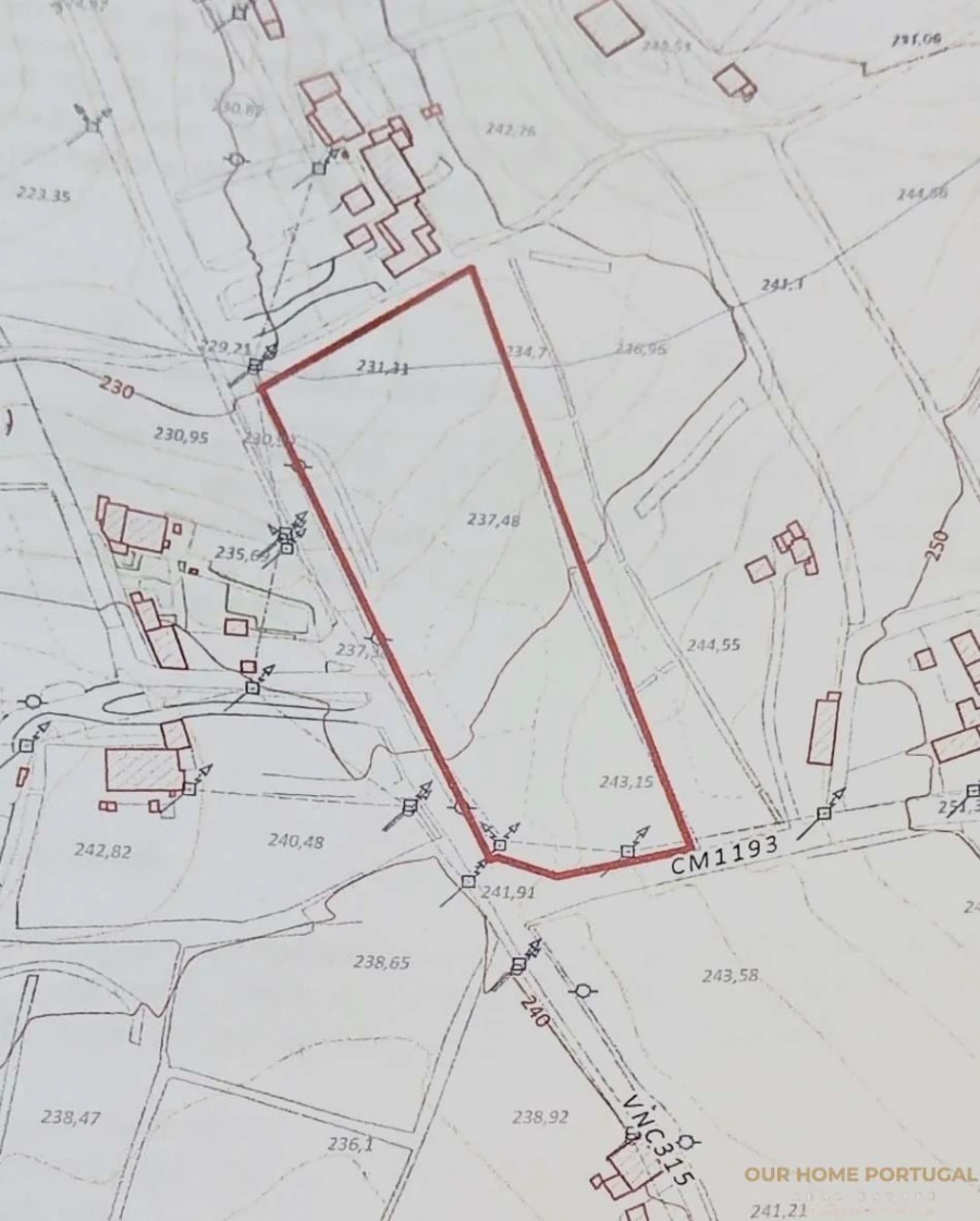 Terreno para Venda em Loule (São Sebastião) Foto 9