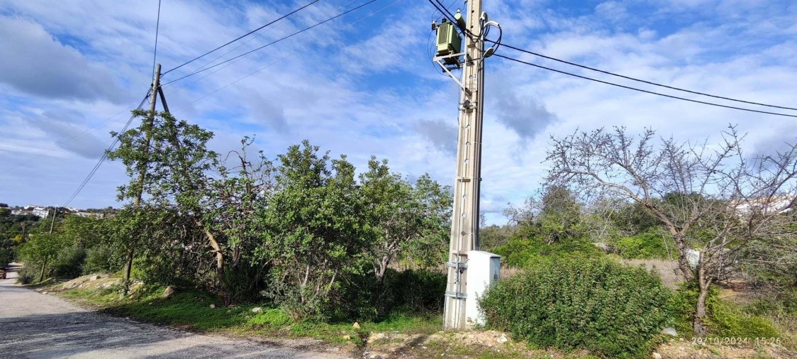 Terreno para Venda em Loule (São Sebastião) Foto 8