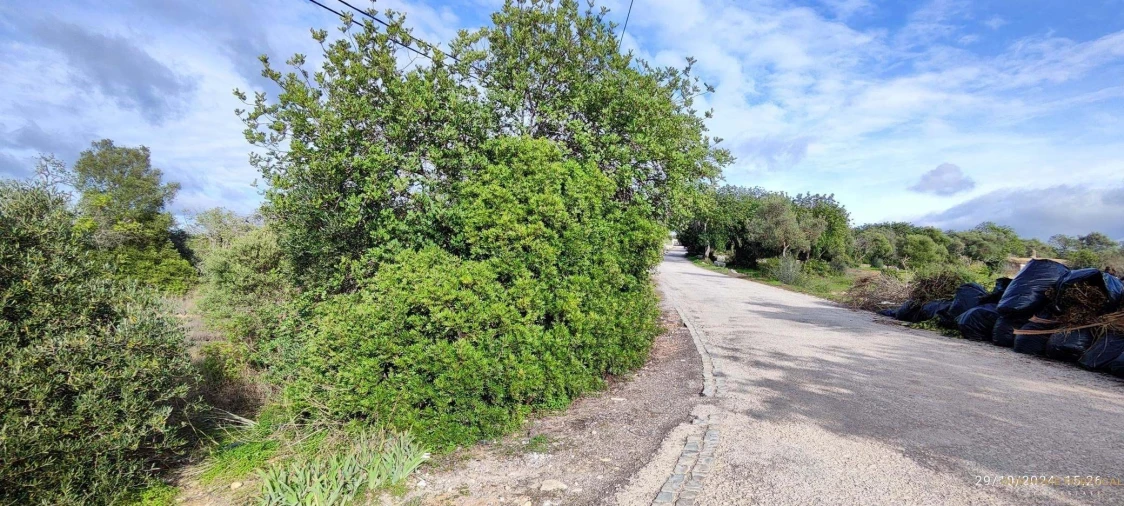 Terreno para Venda em Loule (São Sebastião) Foto 1