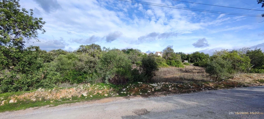 Terreno para Venda em Loule (São Sebastião) Foto 5