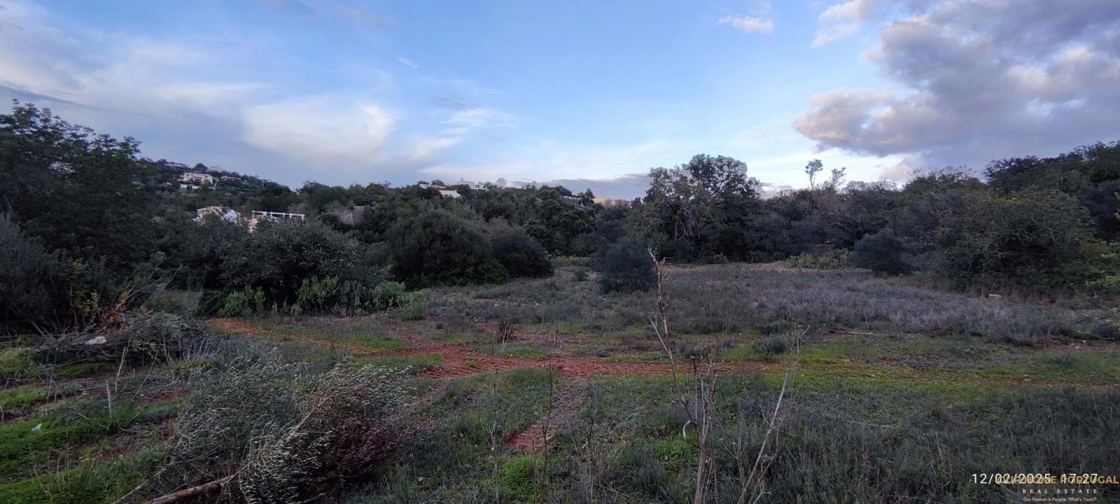 Terreno para Venda em Loule (São Sebastião) Foto 12