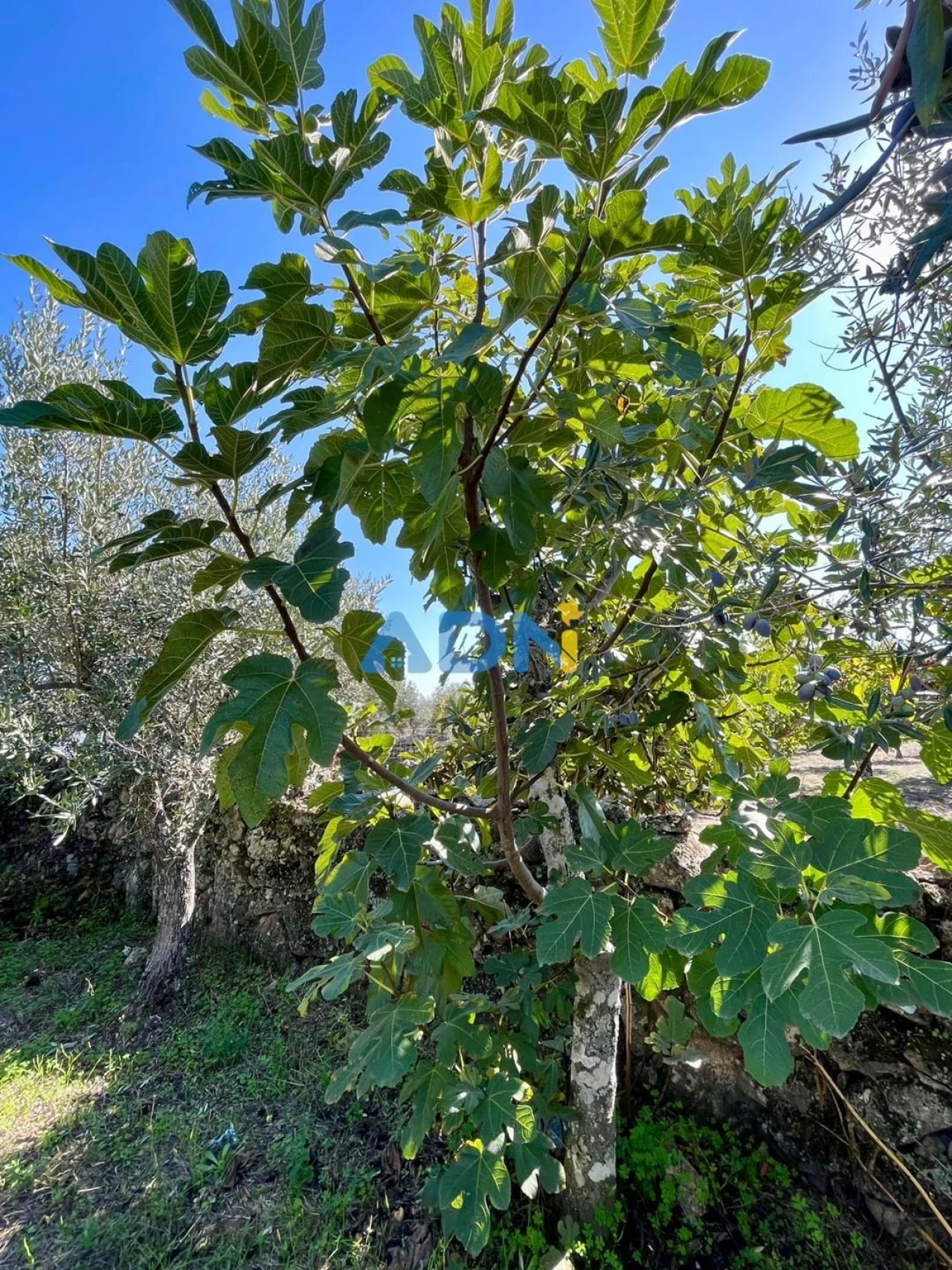 Quinta T2 para Venda em Póvoa de Rio de Moinhos e Cafede Foto 26