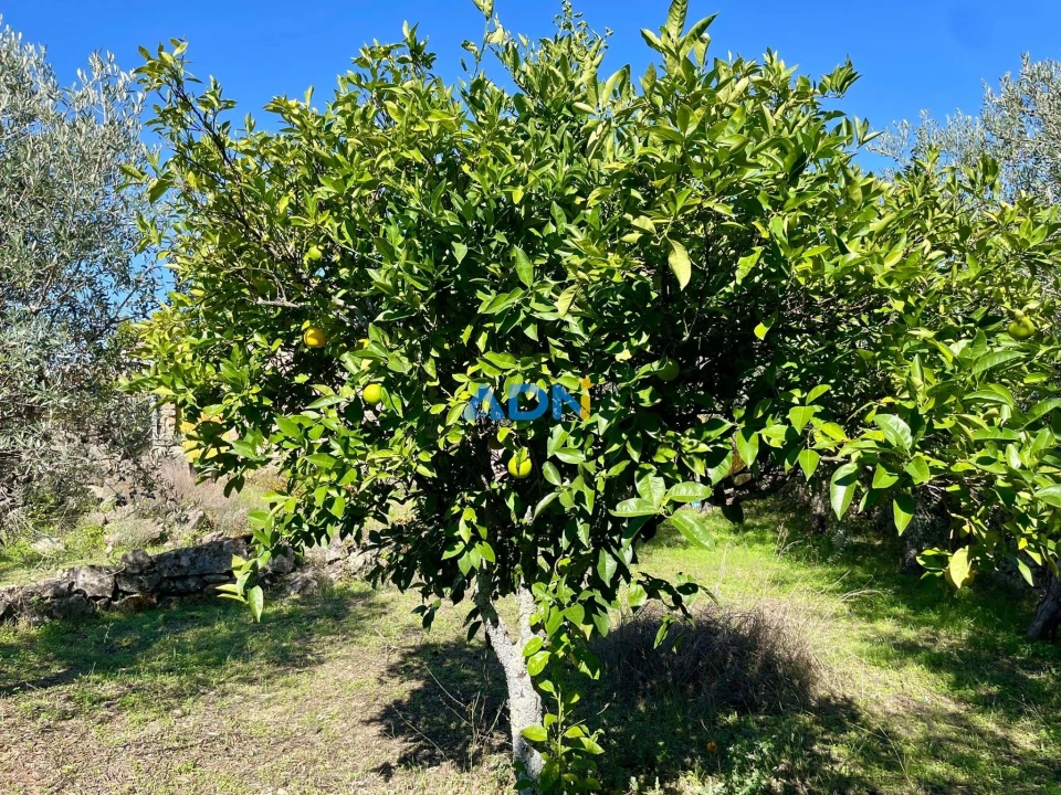 Quinta T2 para Venda em Póvoa de Rio de Moinhos e Cafede Foto 24