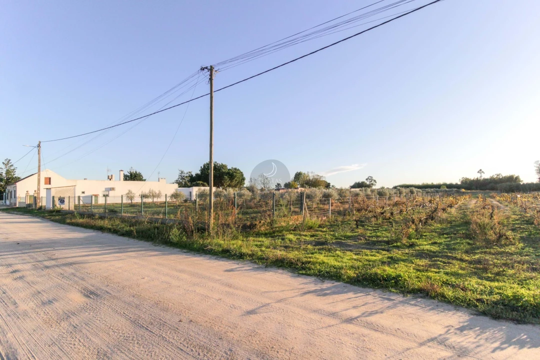 Terreno Agricola ou Rústico para Venda em Benfica do Ribatejo Foto 2