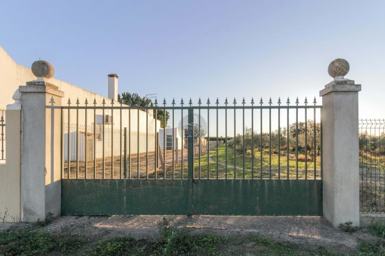 Terreno Agricola ou Rústico para Venda em Benfica do Ribatejo Foto 4