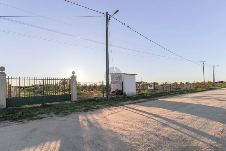 Terreno Agricola ou Rústico para Venda em Benfica do Ribatejo Foto 1