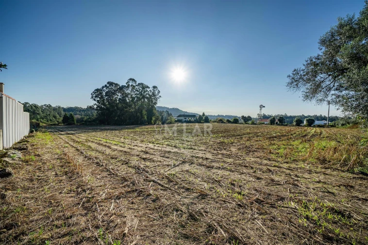 Terreno para Venda em Gemeses Foto 8