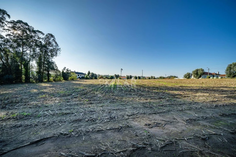 Terreno para Venda em Gemeses Foto 9