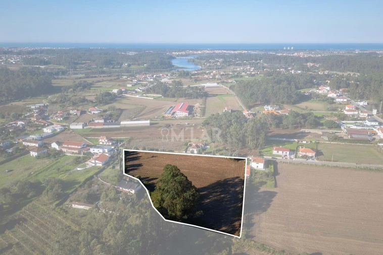 Terreno para Venda em Gemeses Foto 3
