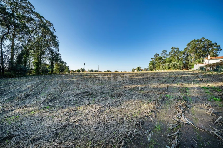 Terreno para Venda em Gemeses Foto 10