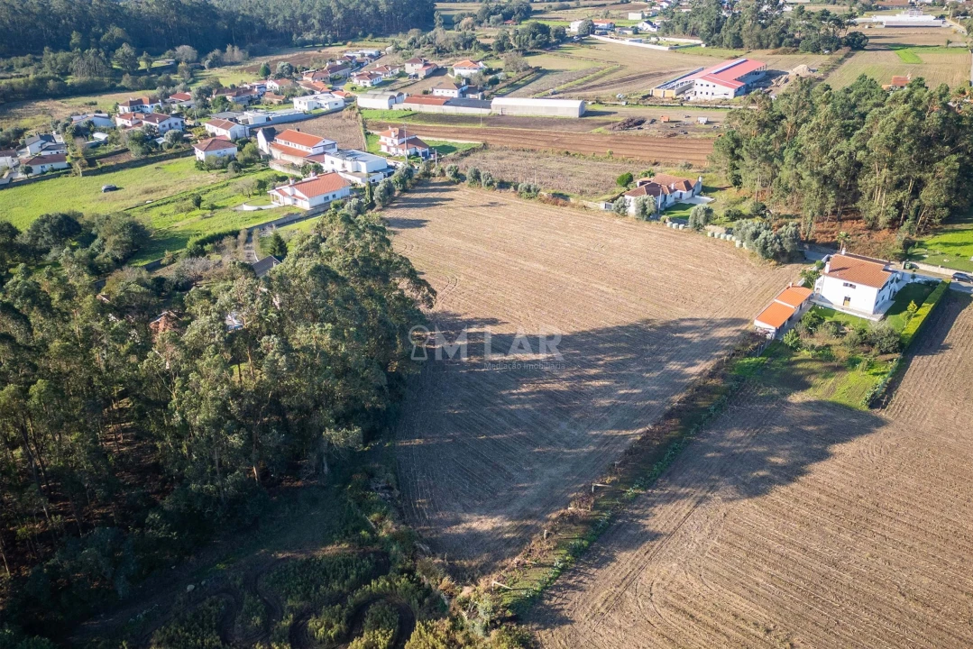 Terreno para Venda em Gemeses Foto 14