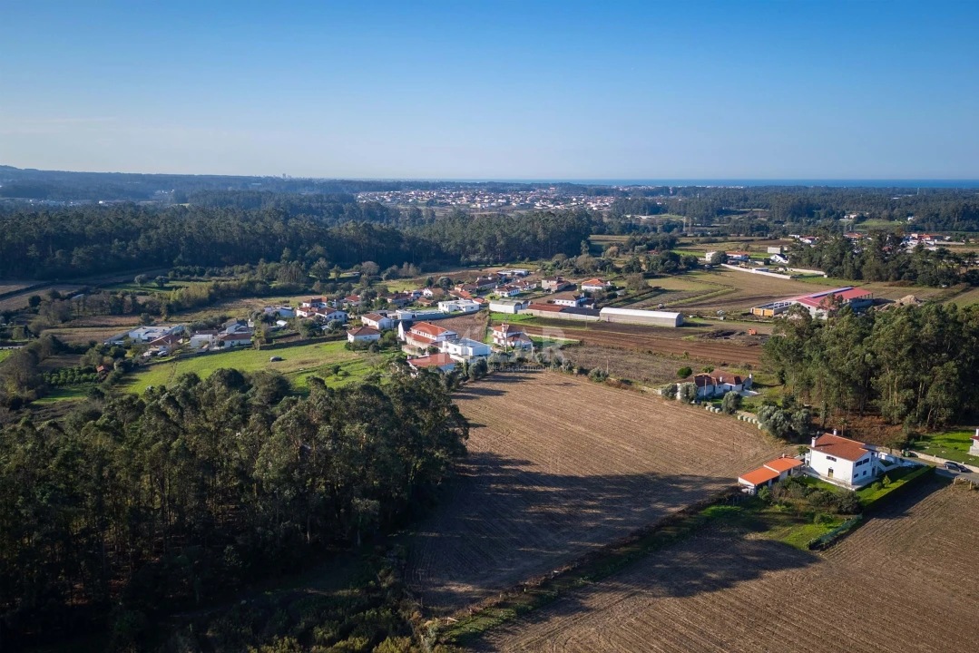 Terreno para Venda em Gemeses Foto 12