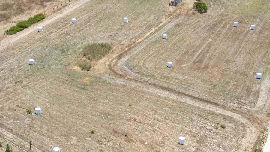 Terreno Agricola ou Rústico para Venda em São Francisco