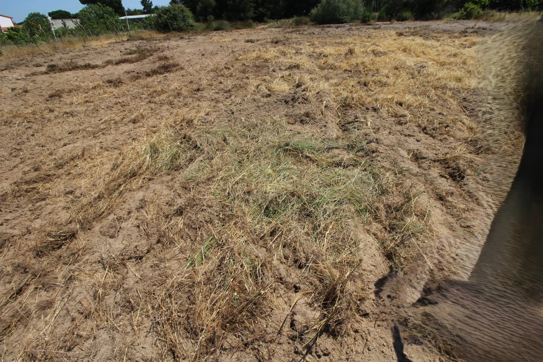 Quinta para Venda em Benavente Foto 47