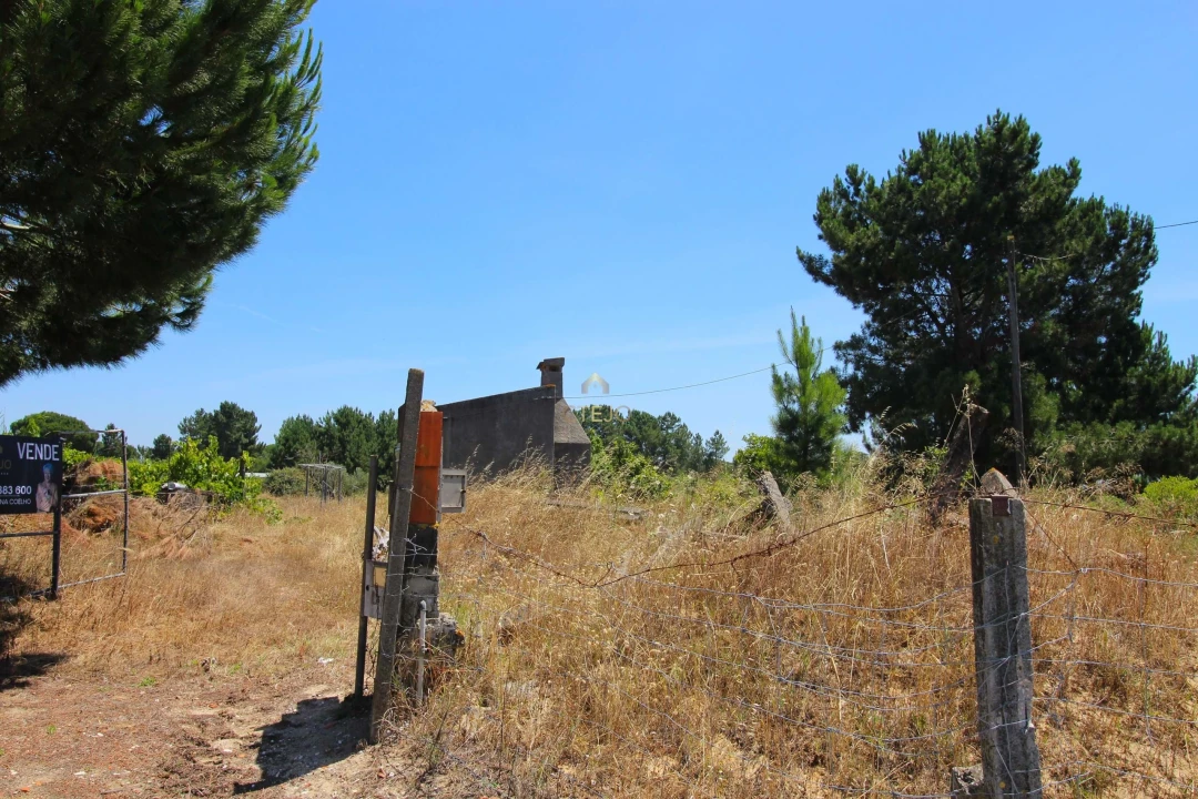 Quinta para Venda em Benavente Foto 35