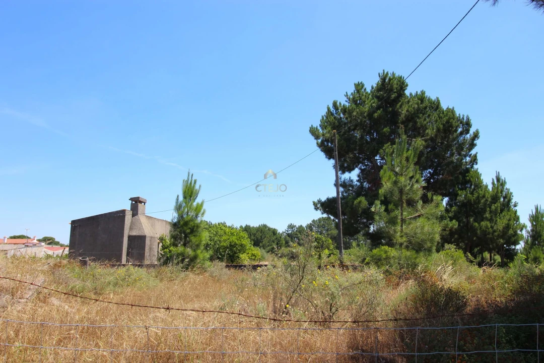 Quinta para Venda em Benavente Foto 17