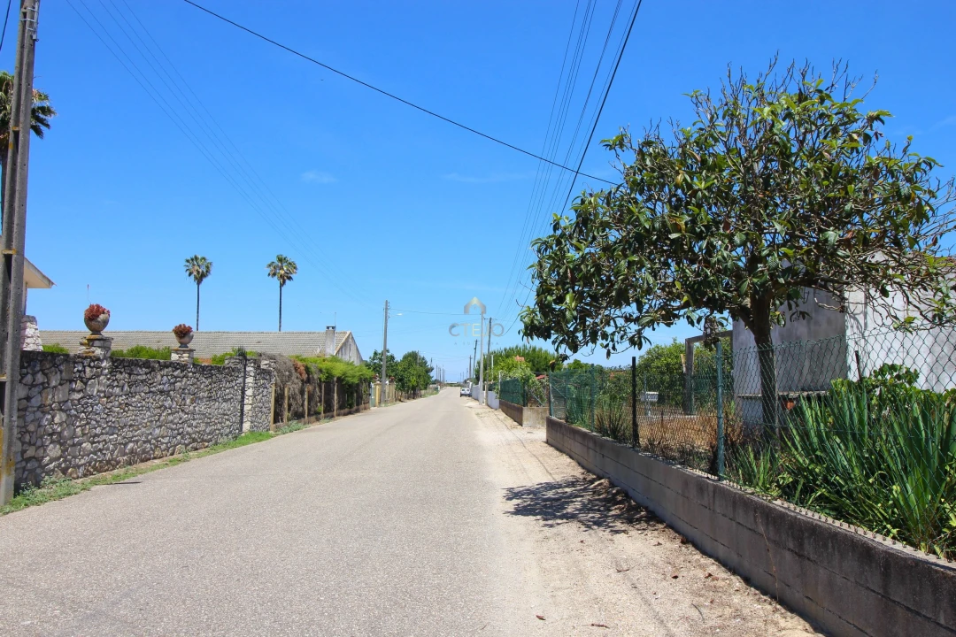 Quinta para Venda em Benavente Foto 1