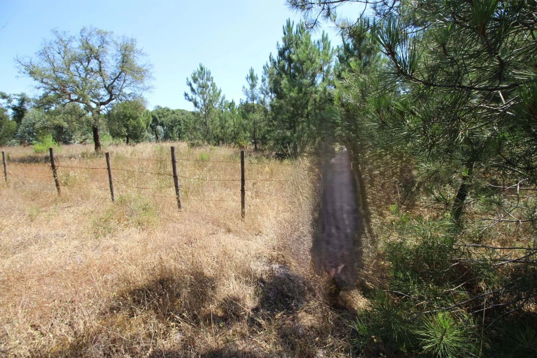 Quinta para Venda em Benavente Foto 40