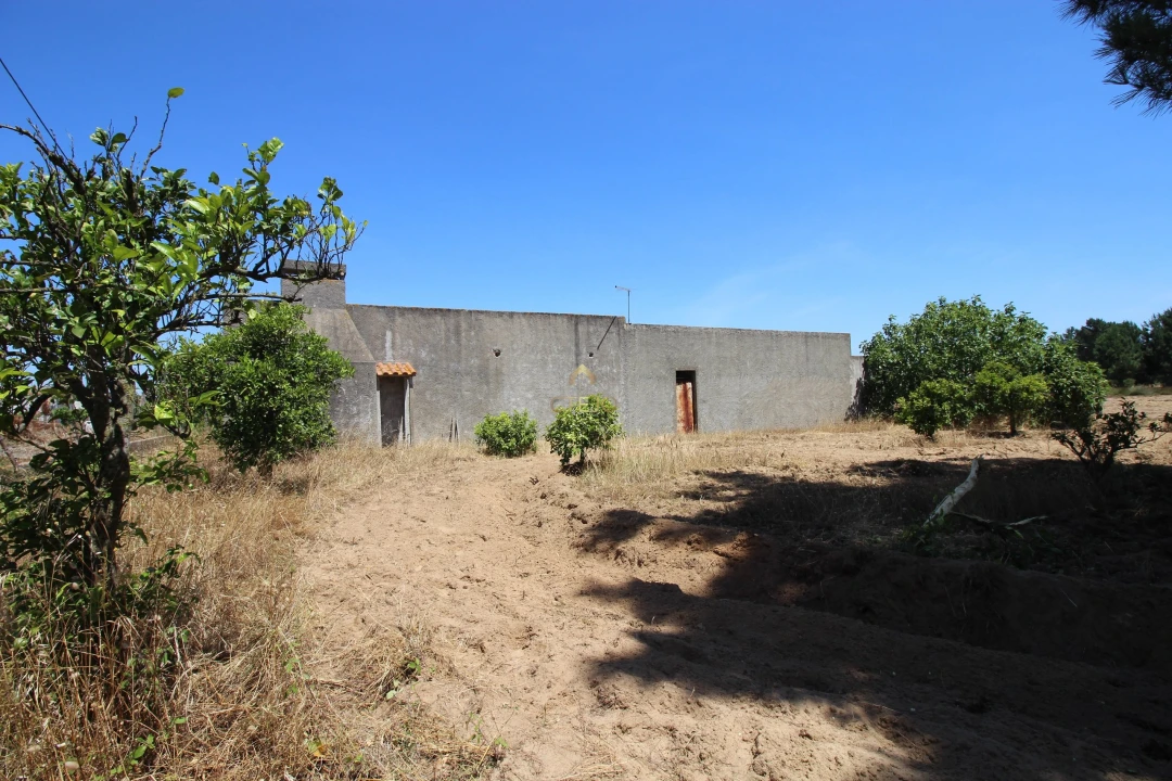 Quinta para Venda em Benavente Foto 5