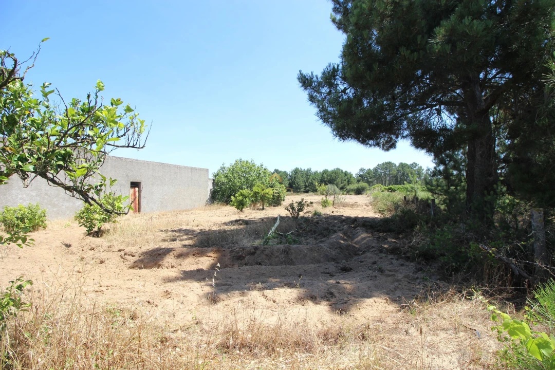 Quinta para Venda em Benavente Foto 50