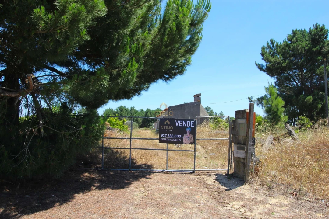 Quinta para Venda em Benavente Foto 4