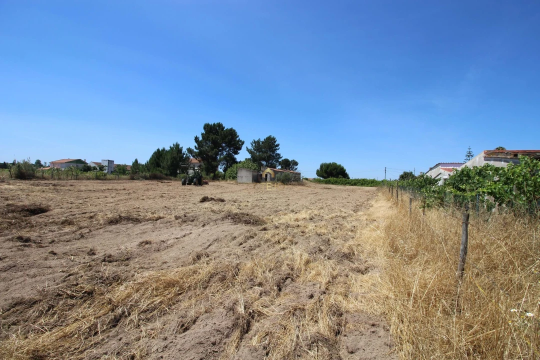 Quinta para Venda em Benavente Foto 45