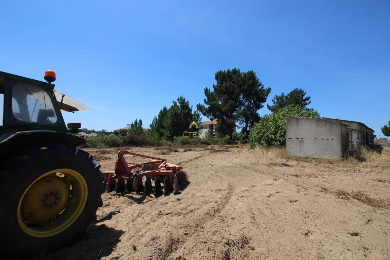 Quinta para Venda em Benavente Foto 25