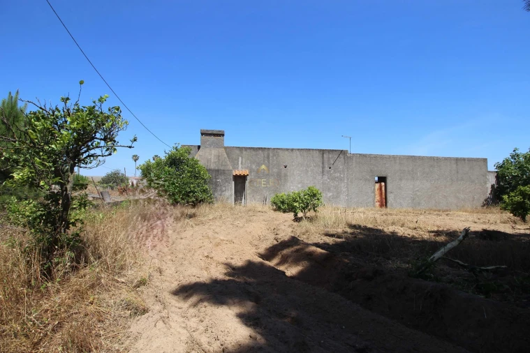 Quinta para Venda em Benavente Foto 28