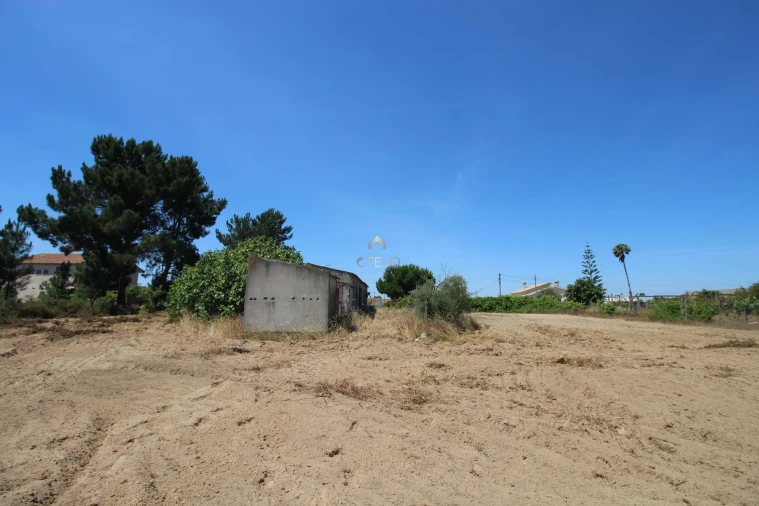 Quinta para Venda em Benavente Foto 26