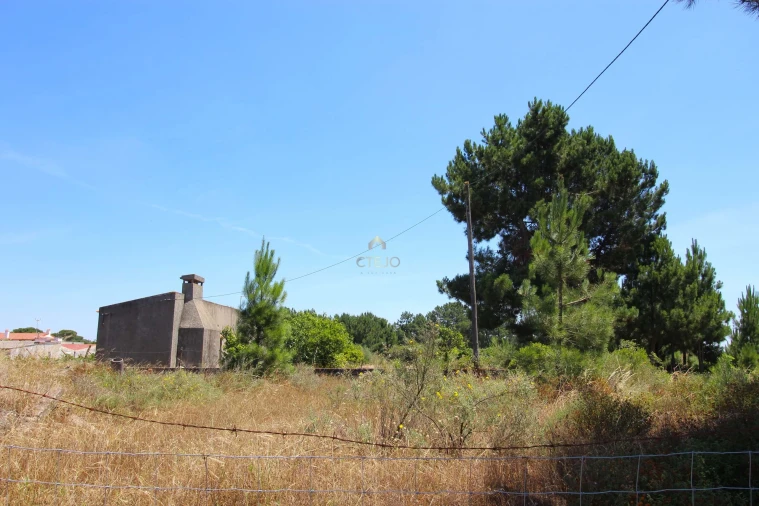 Quinta para Venda em Benavente Foto 17