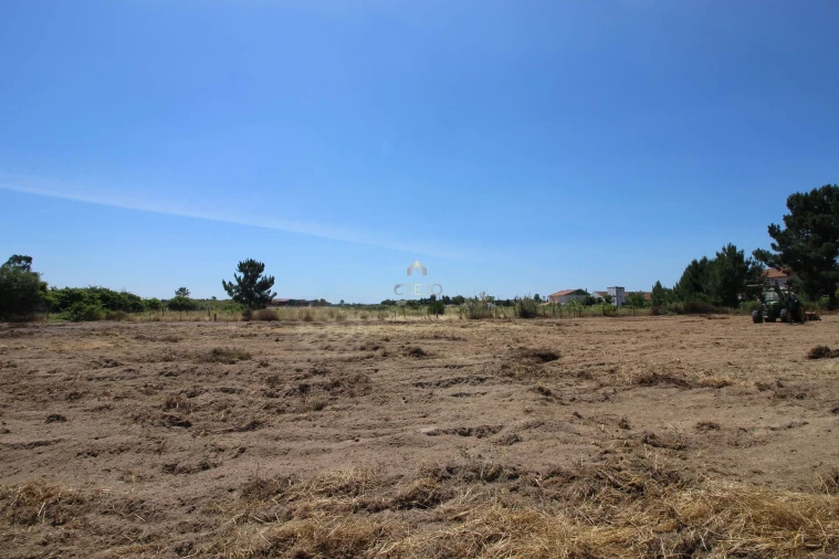 Quinta para Venda em Benavente Foto 23