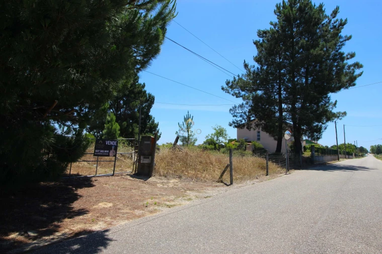 Quinta para Venda em Benavente Foto 38