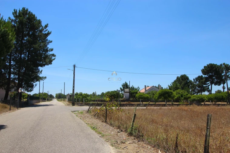 Quinta para Venda em Benavente Foto 3