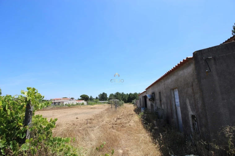 Quinta para Venda em Benavente Foto 51