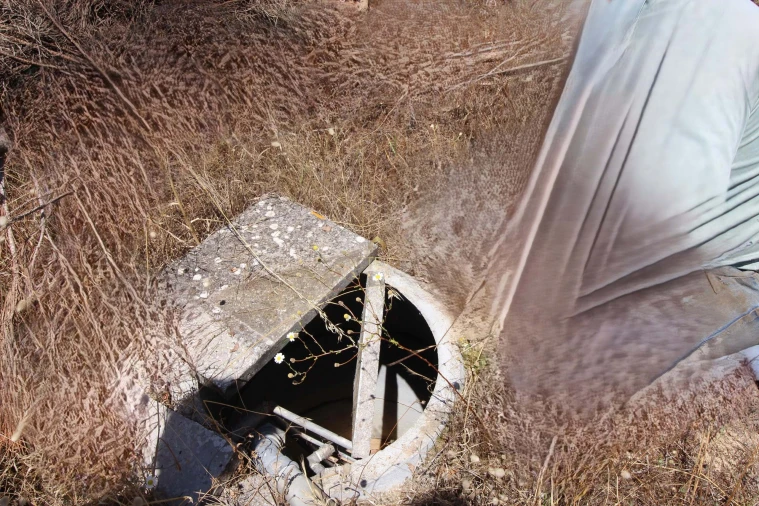 Quinta para Venda em Benavente Foto 36