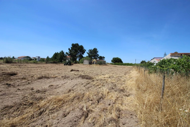 Quinta para Venda em Benavente Foto 45