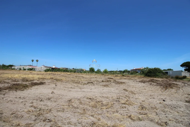 Quinta para Venda em Benavente Foto 22