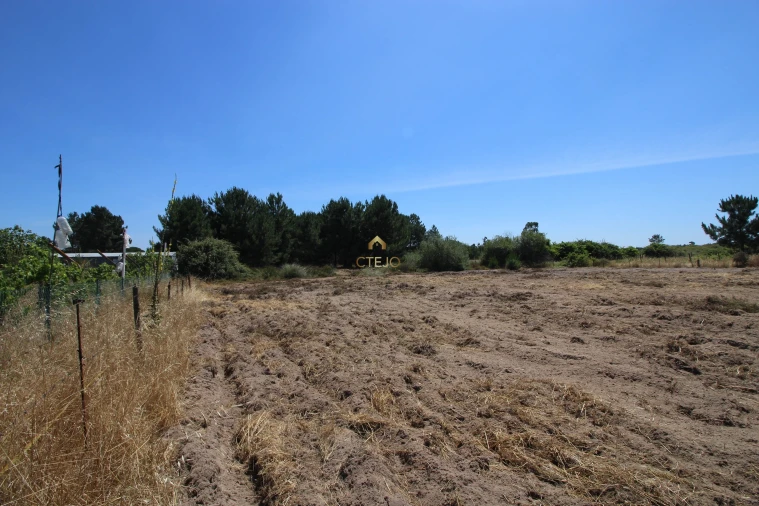 Quinta para Venda em Benavente Foto 24