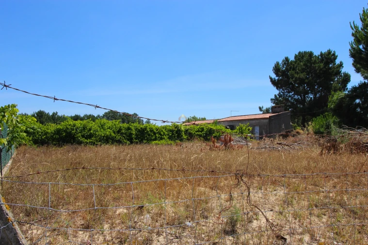 Quinta para Venda em Benavente Foto 37