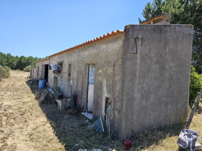 Quinta para Venda em Benavente Foto 6