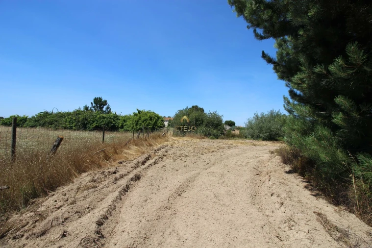 Quinta para Venda em Benavente Foto 42