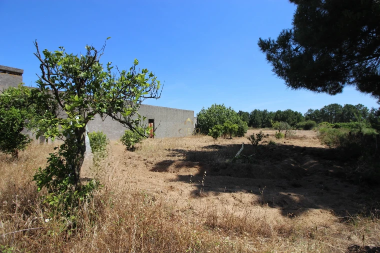 Quinta para Venda em Benavente Foto 49