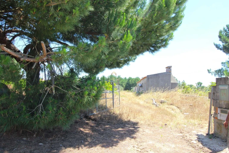 Quinta para Venda em Benavente Foto 33